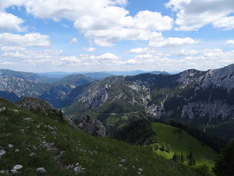 Buchbergkogel